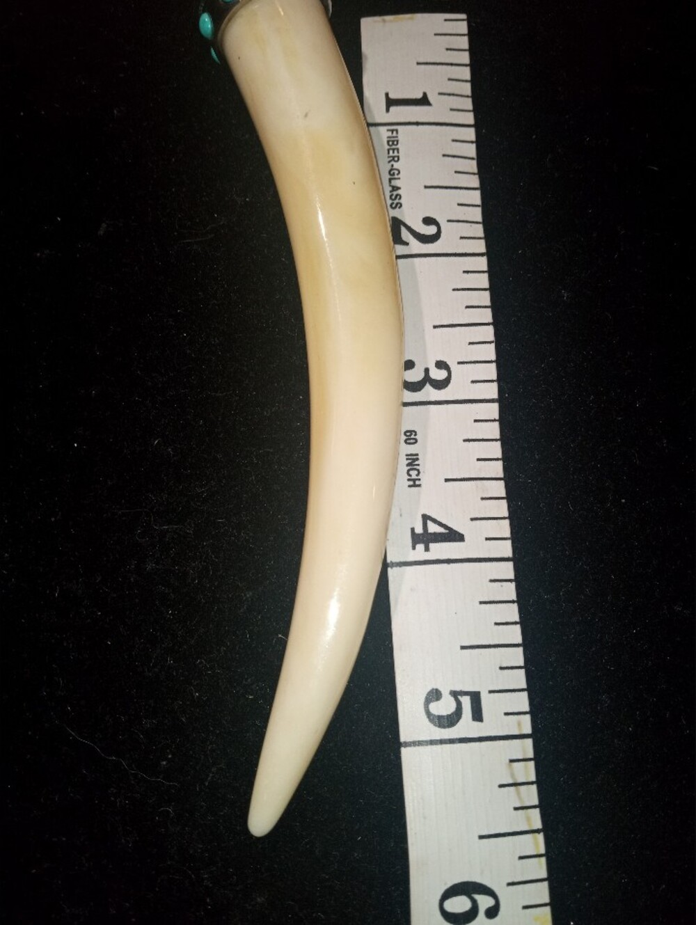 Ivory-Colored Reptile Horn Accessory - Unbranded
